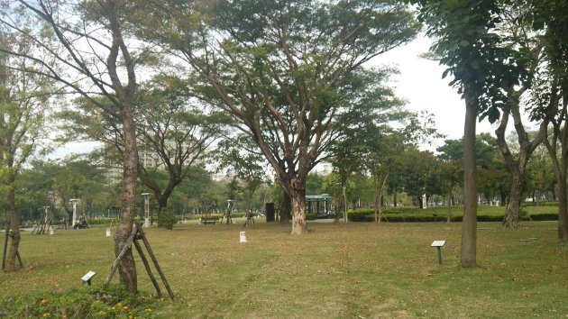 凹子底森林公園内の風景